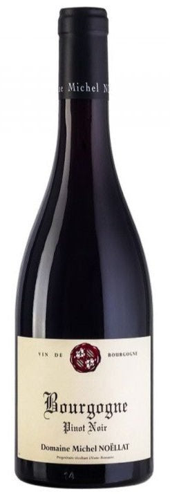 Michel Noëllat Bourgogne Pinot Noir 2020 Red